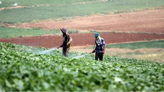 البنك الدولي: 47 ألف مزارع استفادوا من برنامج “أرضي” في الأردن